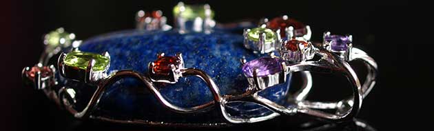 �p���[�X�g�[���W���G���[