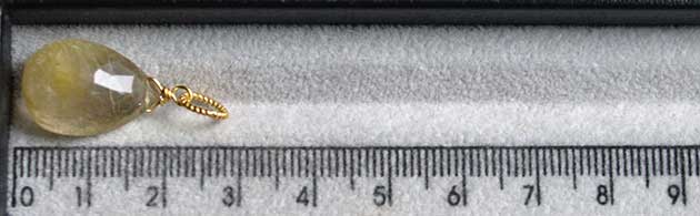 �p���[�X�g�[���y���_���g�g�b�v