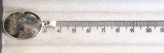 �p���[�X�g�[���y���_���g�g�b�v