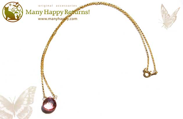 �p���[�X�g�[���l�b�N���X