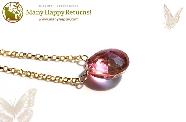 �p���[�X�g�[���l�b�N���X