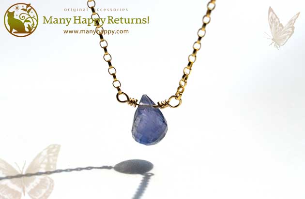 �p���[�X�g�[���l�b�N���X