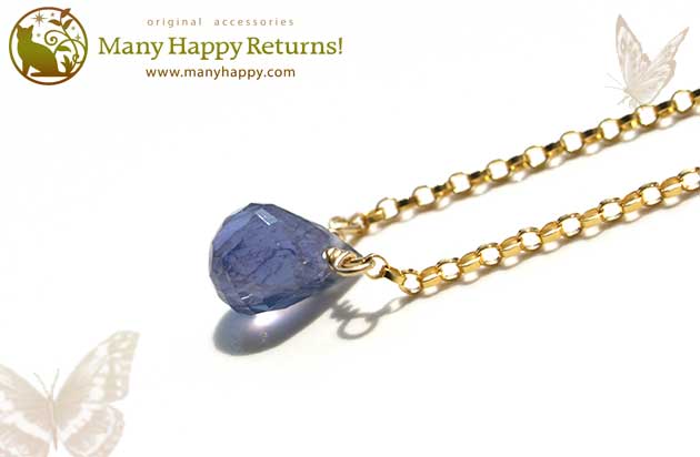 �p���[�X�g�[���l�b�N���X