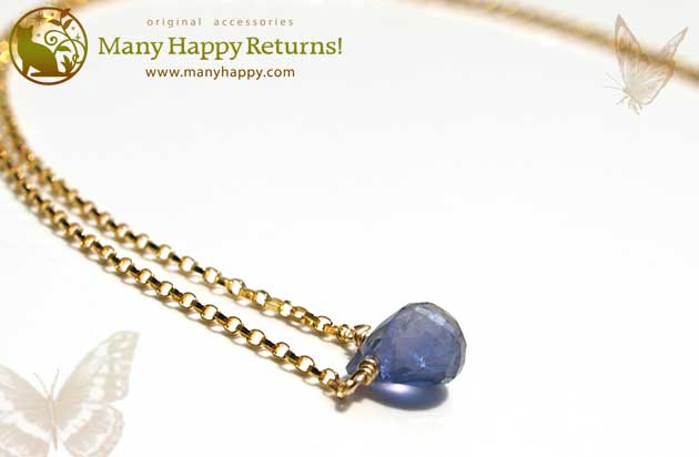 �p���[�X�g�[���l�b�N���X