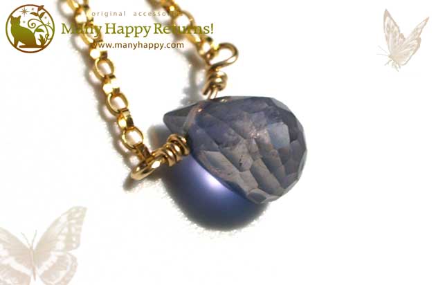 �p���[�X�g�[���l�b�N���X