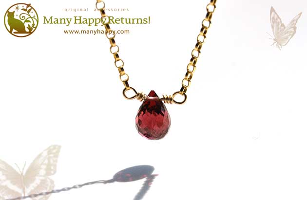 �p���[�X�g�[���l�b�N���X