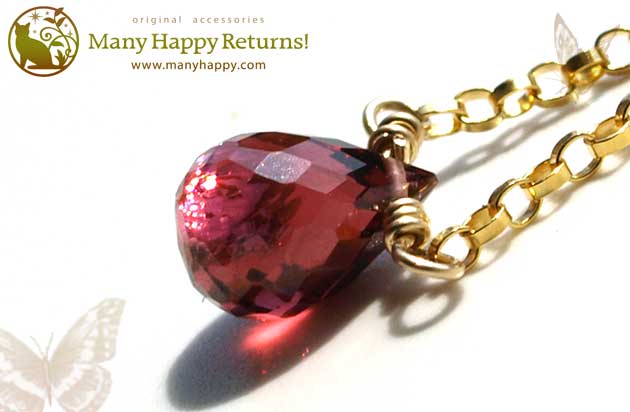 �p���[�X�g�[���l�b�N���X