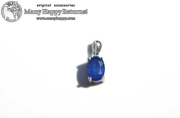 �p���[�X�g�[���y���_���g�g�b�v