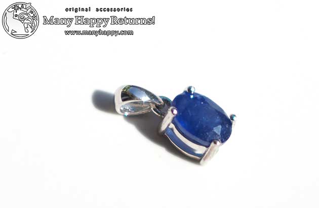 �p���[�X�g�[���y���_���g�g�b�v