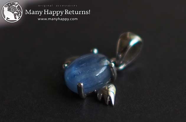 �p���[�X�g�[���y���_���g�g�b�v