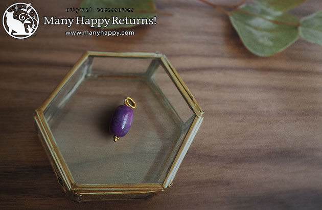 �p���[�X�g�[���l�b�N���X