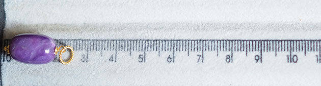 �p���[�X�g�[���l�b�N���X