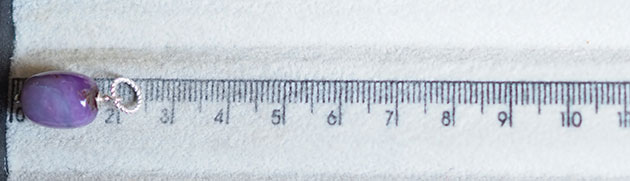 �p���[�X�g�[���l�b�N���X