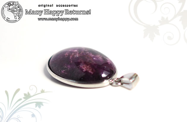 �p���[�X�g�[���l�b�N���X