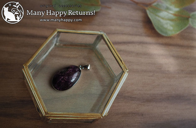 �p���[�X�g�[���l�b�N���X