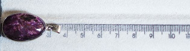 �p���[�X�g�[���l�b�N���X