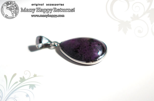 �p���[�X�g�[���l�b�N���X