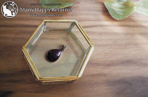 �p���[�X�g�[���l�b�N���X