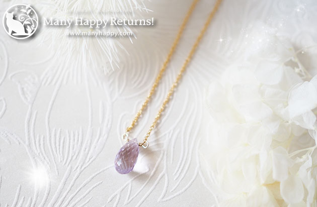 �p���[�X�g�[���l�b�N���X