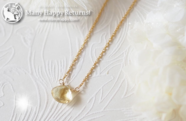 �p���[�X�g�[���l�b�N���X