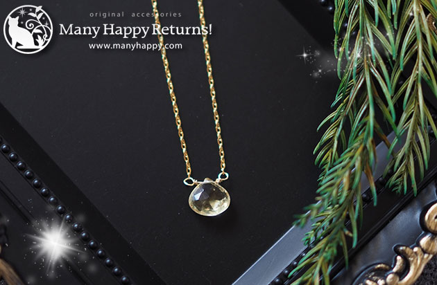 �p���[�X�g�[���l�b�N���X