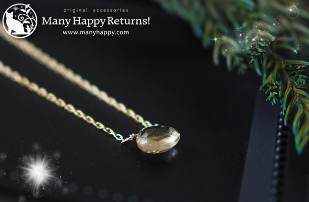 �p���[�X�g�[���l�b�N���X