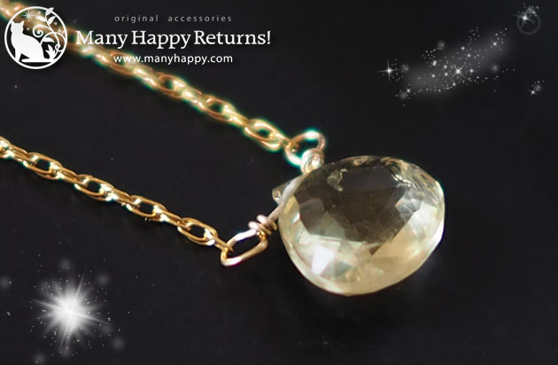 �p���[�X�g�[���l�b�N���X