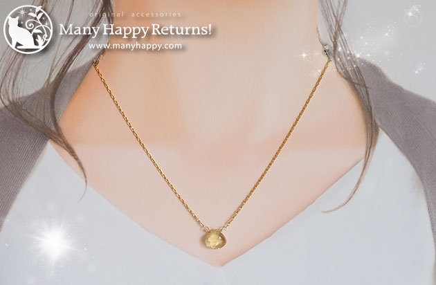 �p���[�X�g�[���l�b�N���X