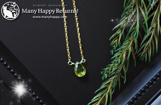 �p���[�X�g�[���l�b�N���X