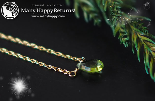 �p���[�X�g�[���l�b�N���X