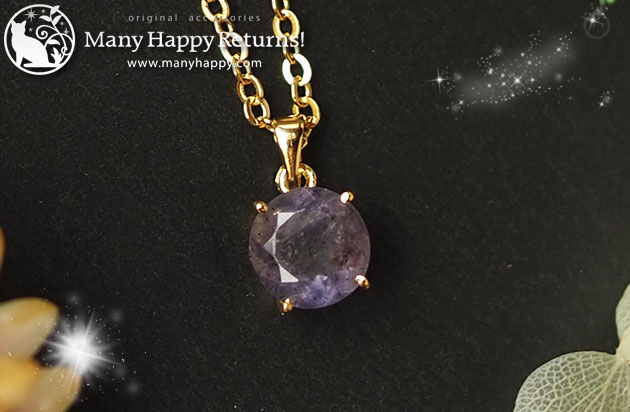 �p���[�X�g�[���l�b�N���X