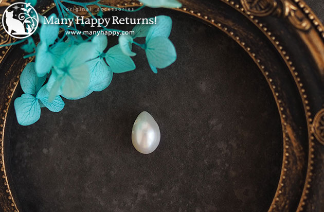 �p���[�X�g�[���l�b�N���X