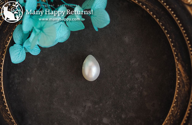 �p���[�X�g�[���l�b�N���X