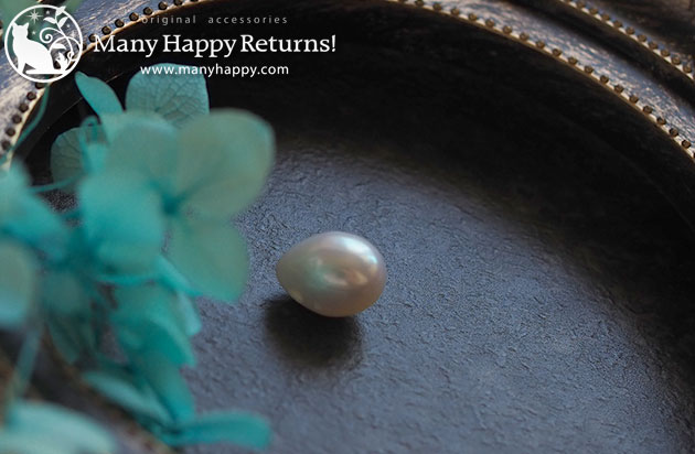 �p���[�X�g�[���l�b�N���X