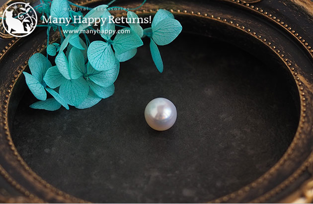 �p���[�X�g�[���l�b�N���X