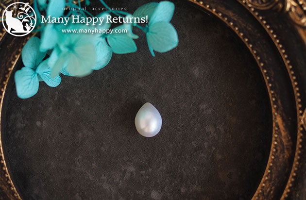 �p���[�X�g�[���l�b�N���X