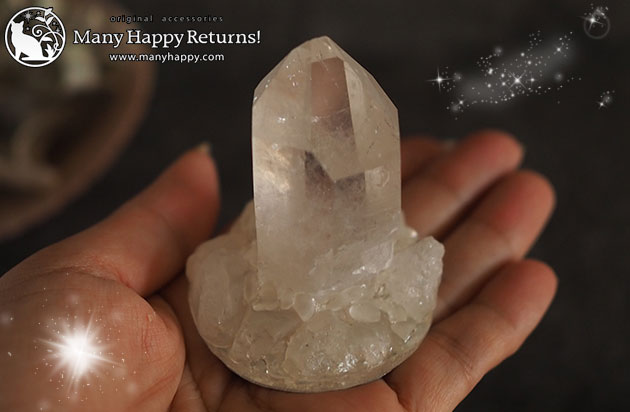 �I���S�i�C�g