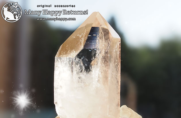 �I���S�i�C�g