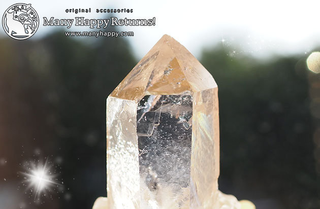 �I���S�i�C�g