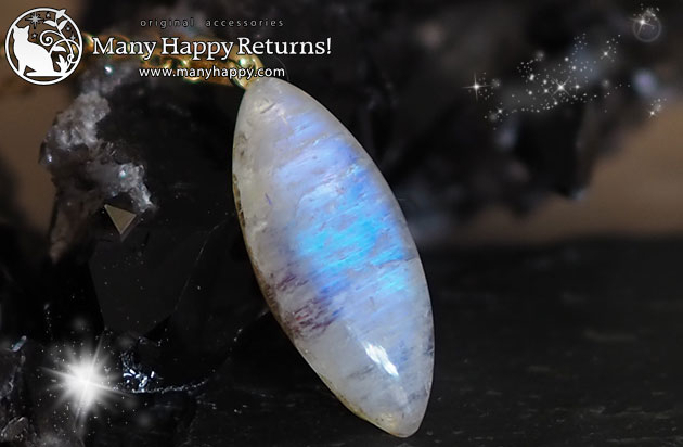 �I���S�i�C�g