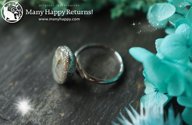 �I���S�i�C�g