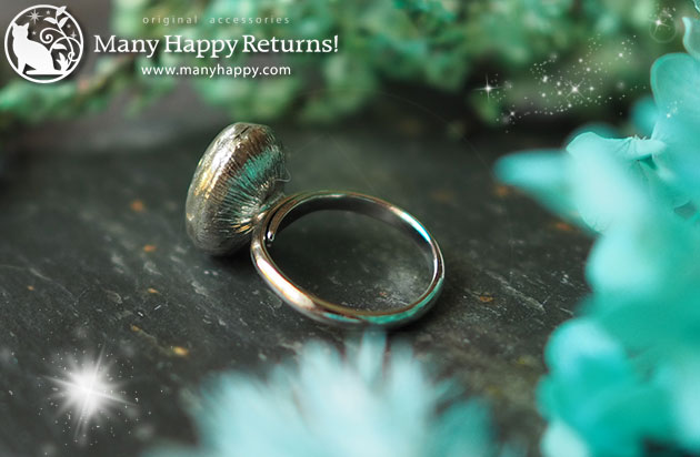 �I���S�i�C�g