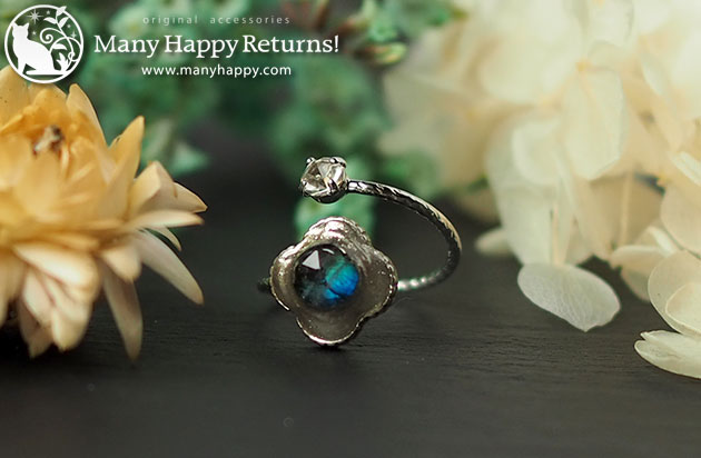 �I���S�i�C�g