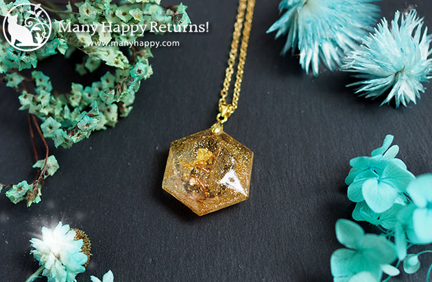 �I���S�i�C�g