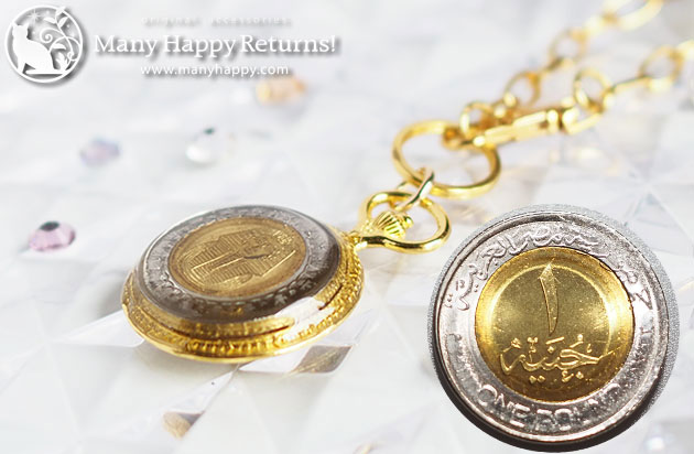 �I���S�i�C�g