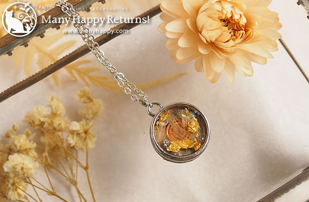 �I���S�i�C�g