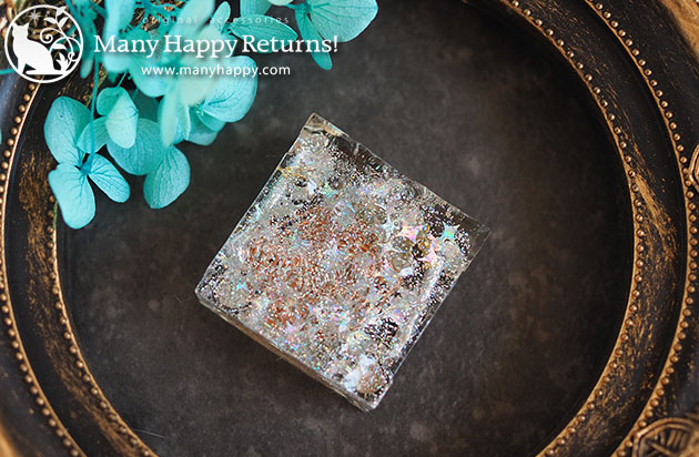 �I���S�i�C�g