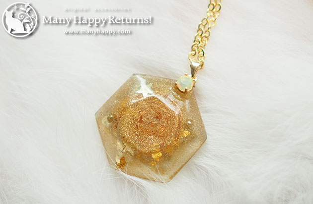 �I���S�i�C�g