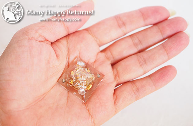 �I���S�i�C�g