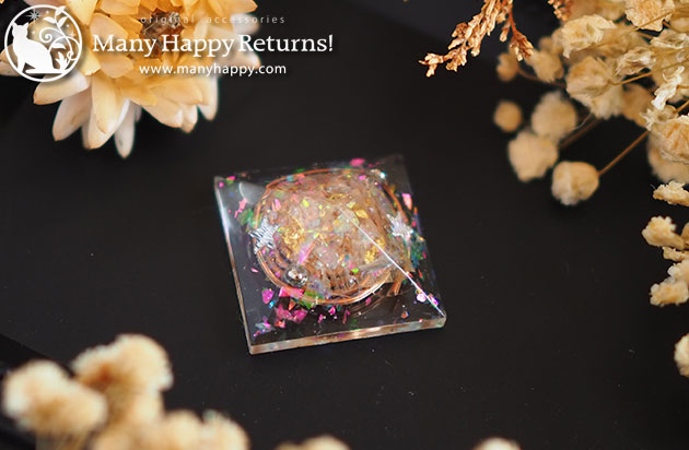 �I���S�i�C�g